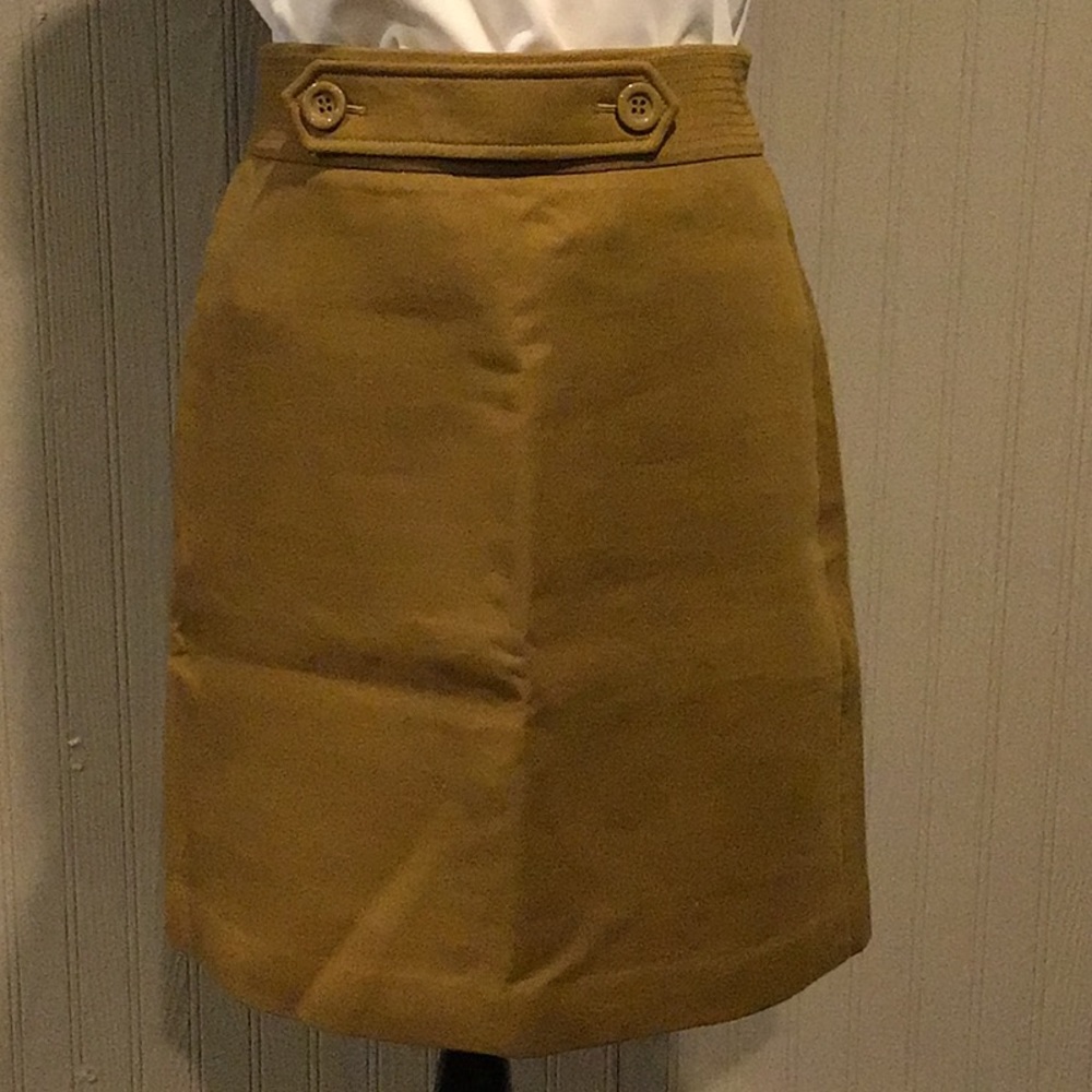 Ann Taylor Cotton Skirt